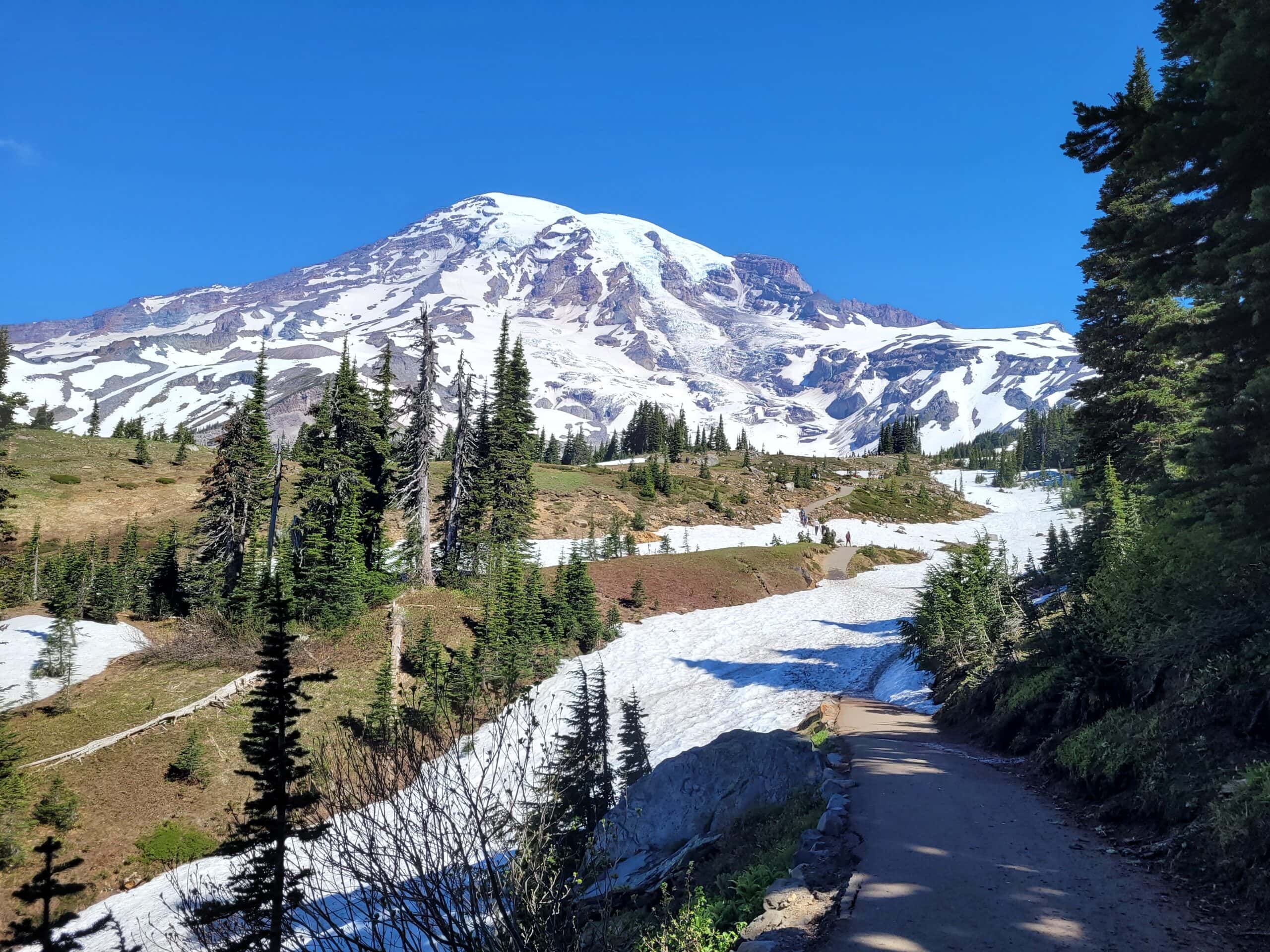 Washington (continued)