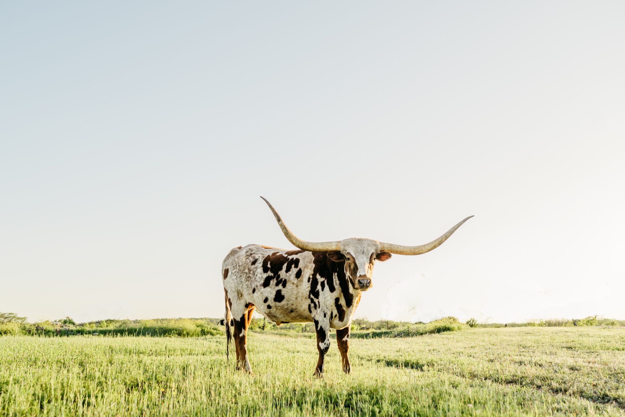 Brownsville-Harlingen-Raymondville, Texas