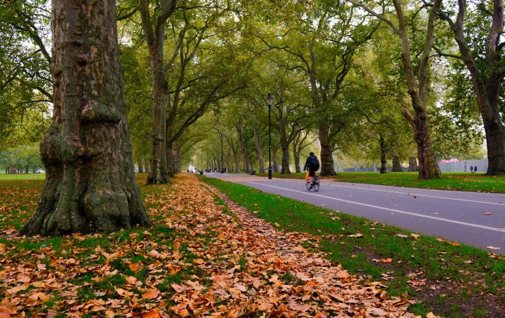 autumn in hyde park london england