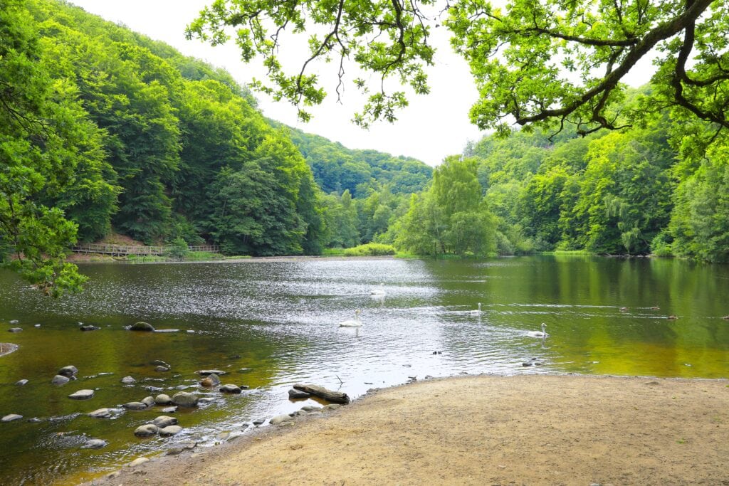 Söderåsen National Park in Skåne, Sweden