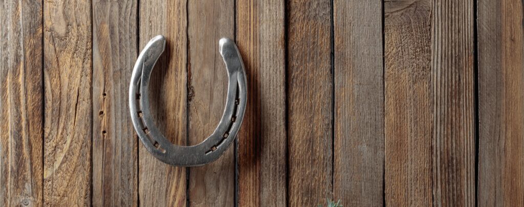 Horseshoe on a old wooden background. Copy space.