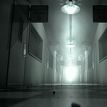 Athens Lunatic Asylum (Continued)