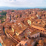 University of Siena (Continued)