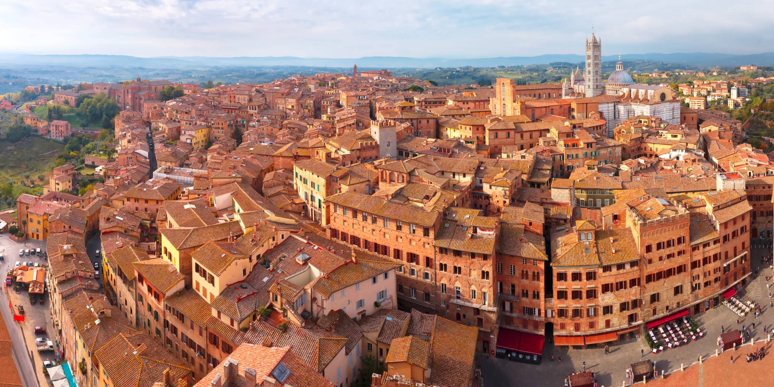 University of Siena (Continued)