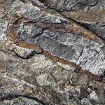 Billions of Years of Heat and Pressure Changed Everything